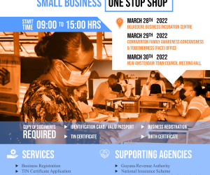 small business bureau business plan